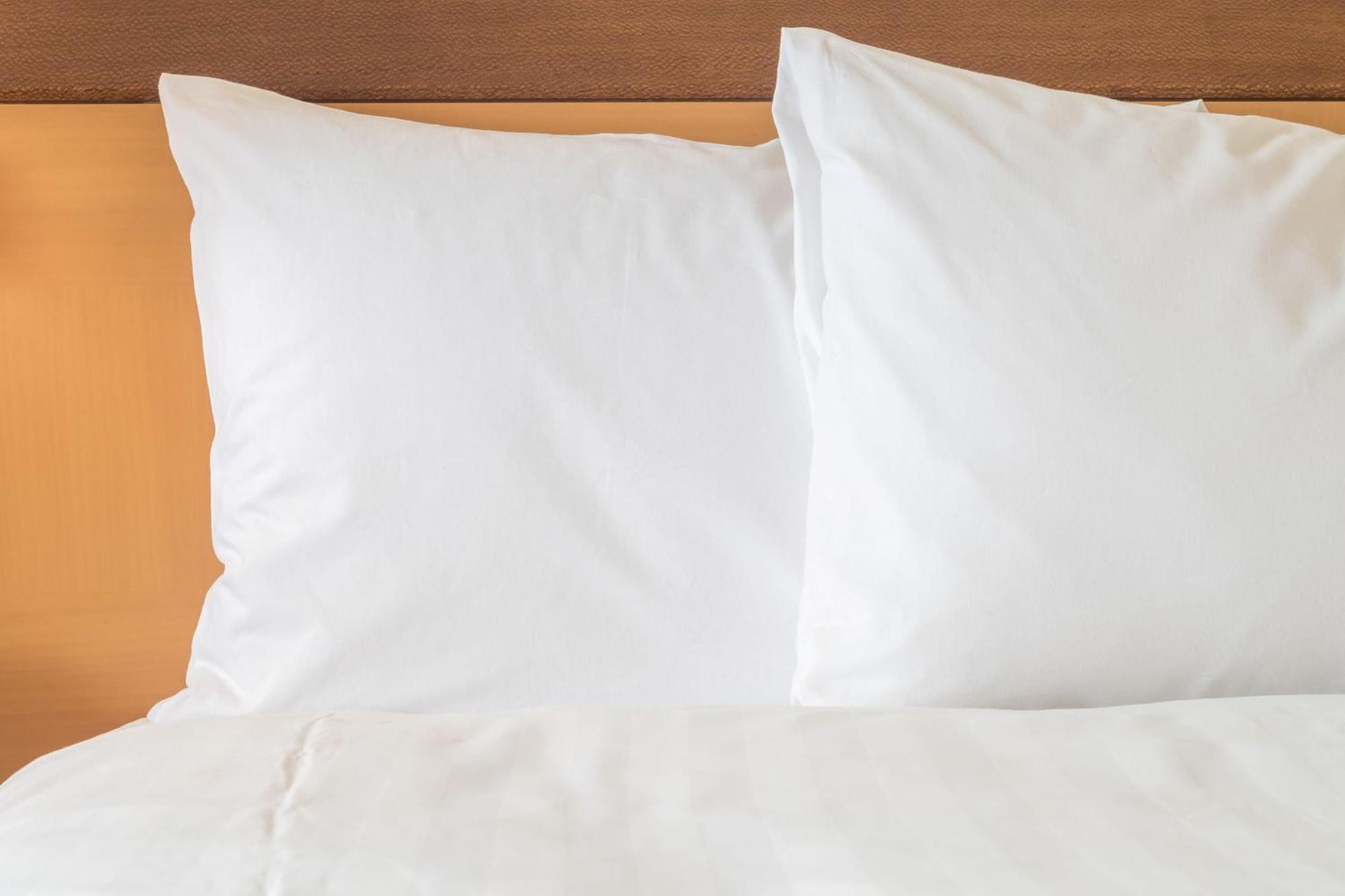 Holiday Inn Express Nashville-Opryland By Ihg Luaran gambar